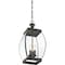 Quoizel Oasis Outdoor Hanging Lantern OAS1909Z - alternate 3